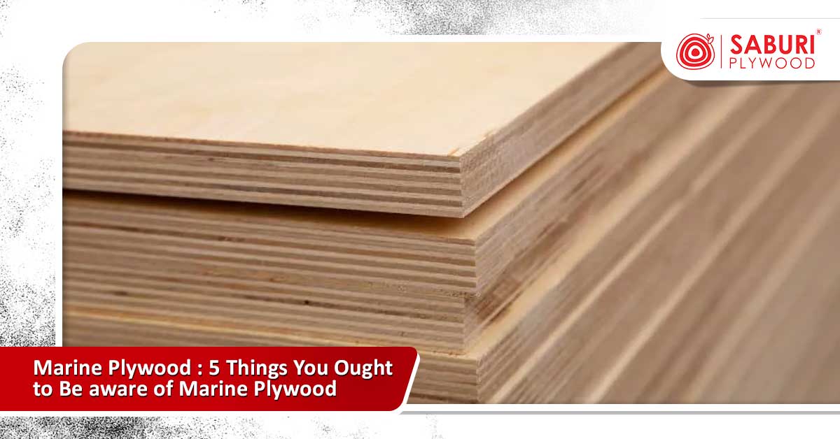 Marine Plywood : 5 Things You Ought to Be aware of Marine Plywood