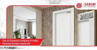 Top 10 Plywood Company in India: Plywood Grades Explained