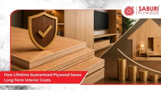 How Lifetime Guaranteed Plywood Saves Long-Term Interior Costs