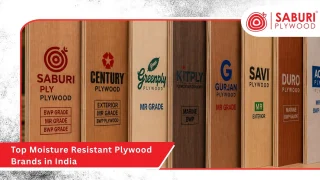 Top Moisture Resistant Plywood Brands in India